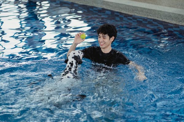 Comment aider un chien qui a peur de l'eau à apprendre à nager ?